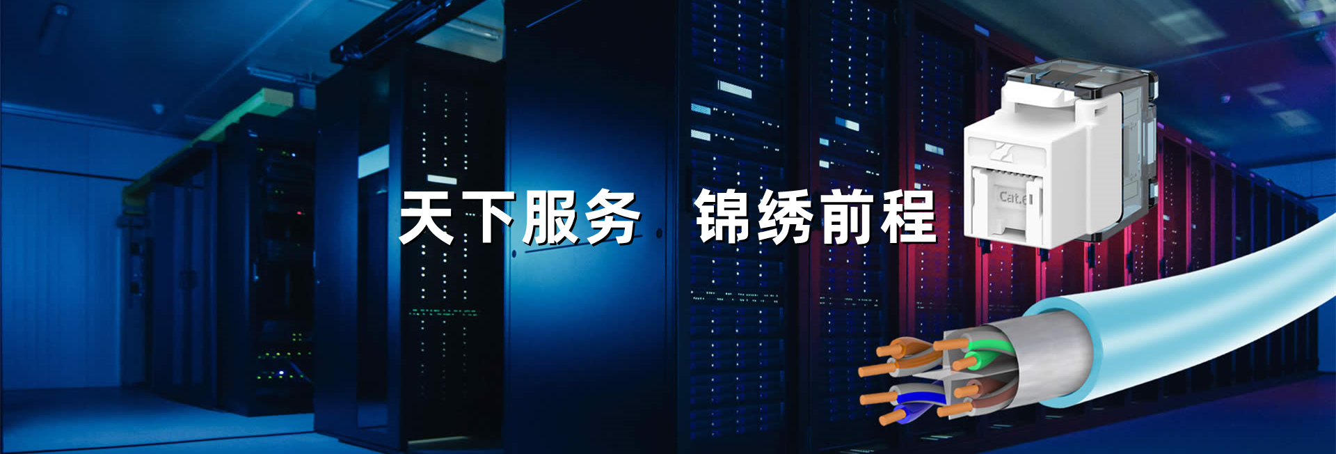 ������ϵͳ