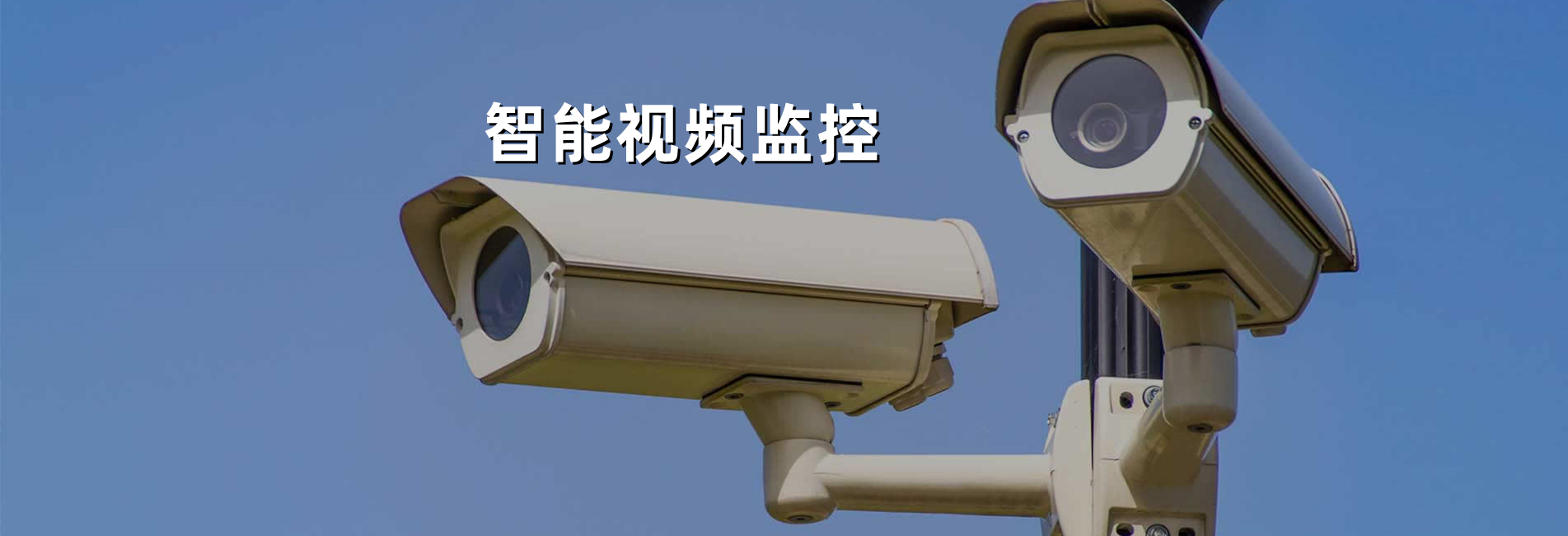 ������ϵͳ