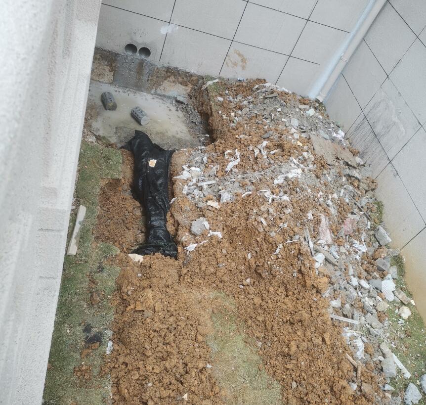 ������Ŀ