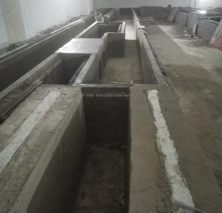 ������Ŀ